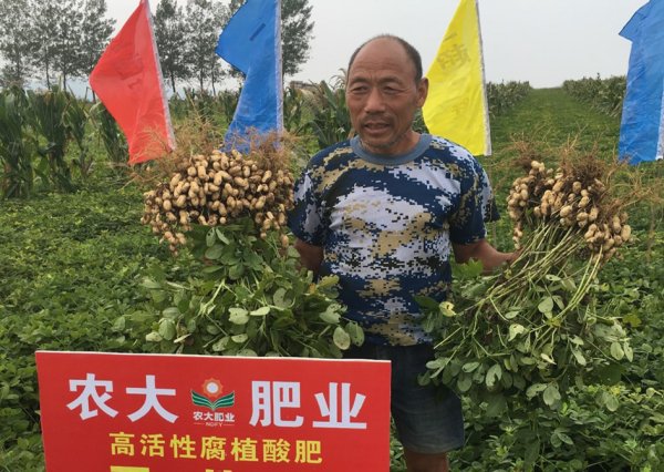 诚信配资 新三板挂牌不足4个月 农大科技闯关北交所