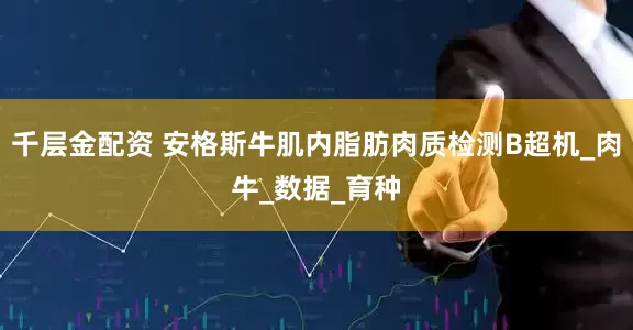 千层金配资 安格斯牛肌内脂肪肉质检测B超机_肉牛_数据_育种