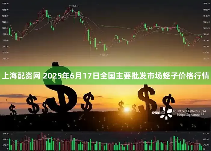 上海配资网 2025年6月17日全国主要批发市场蛏子价格行情